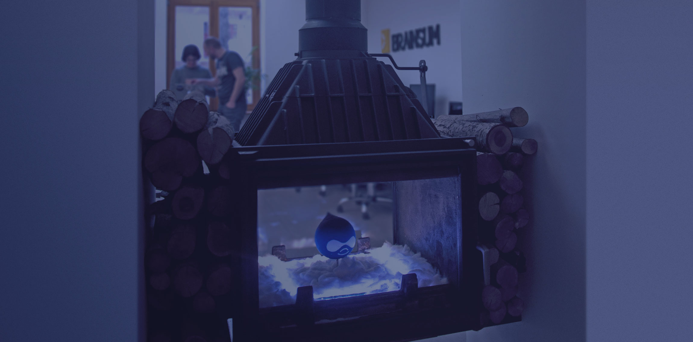 Tvorba Drupal web stránok na mieru