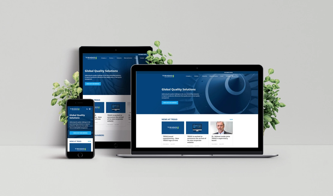Trigo group | Drupal referencia | Brainsum